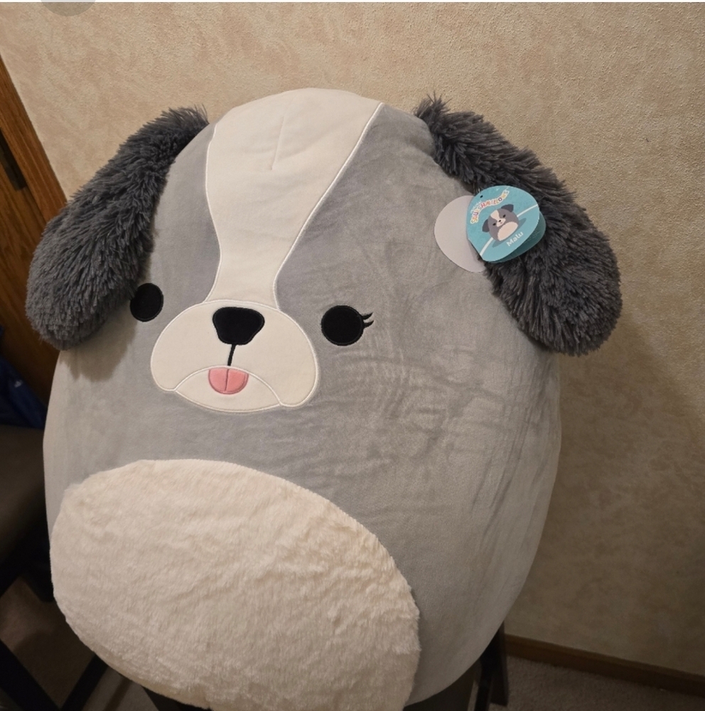 Squishmallow 24 inch, giant shih tzu, dog, nwt - Picture 5 of 10